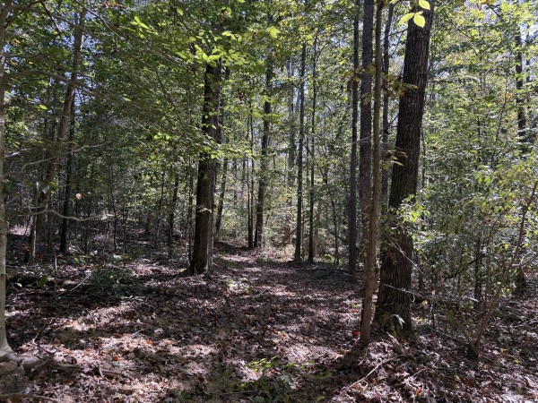Tract 7 at Wolf Hill Estates property photo
