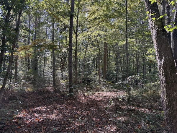 Tract 7 at Wolf Hill Estates property photo