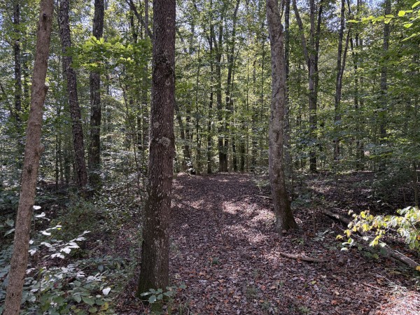 Tract 7 at Wolf Hill Estates property photo