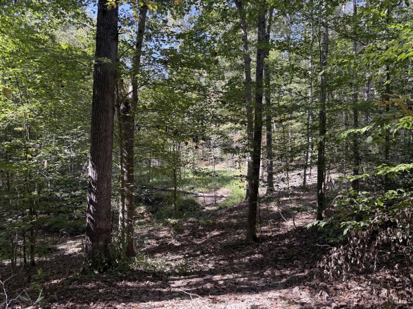 Tract 7 at Wolf Hill Estates property photo