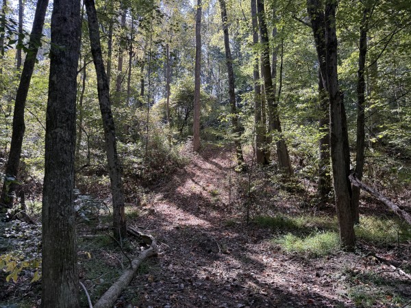 Tract 7 at Wolf Hill Estates property photo