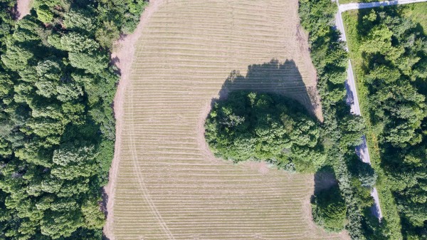 Tract 7 at Wolf Hill Estates property photo