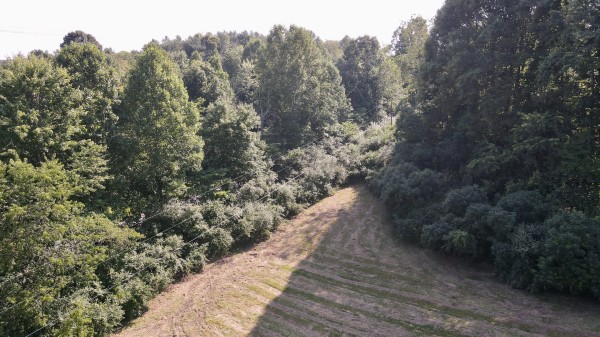 Tract 7 at Wolf Hill Estates property photo