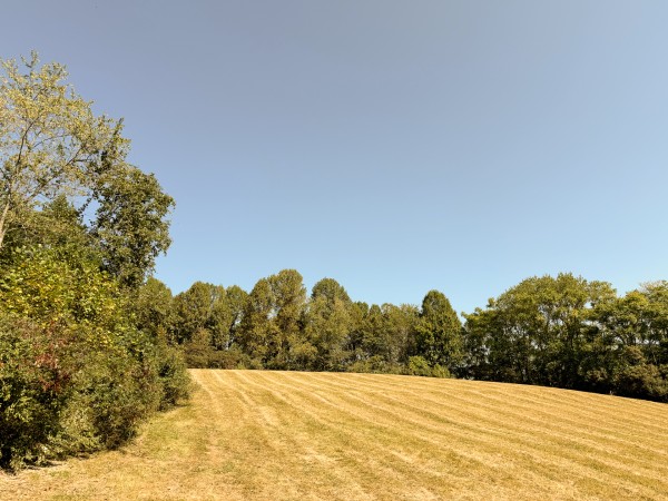 More of Tract 7 at Wolf Hill Estates