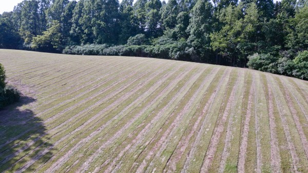 Tract 7 at Wolf Hill Estates property photo