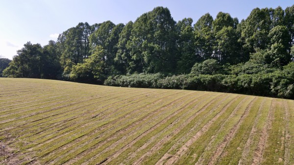 Tract 7 at Wolf Hill Estates property photo