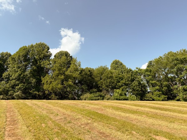 Tract 7 at Wolf Hill Estates property photo