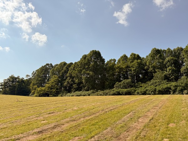 Tract 7 at Wolf Hill Estates property photo