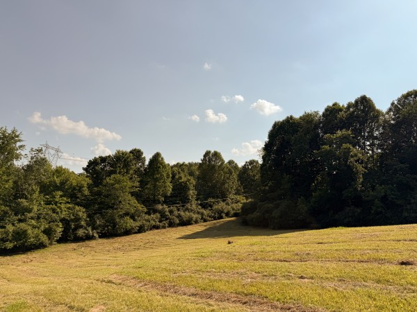 Tract 7 at Wolf Hill Estates property photo