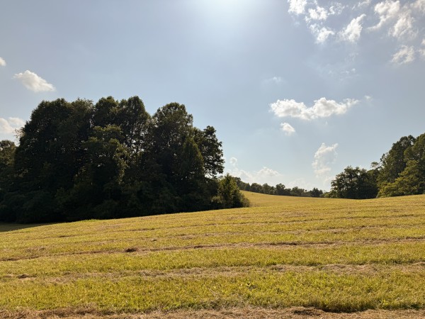 Tract 7 at Wolf Hill Estates property photo