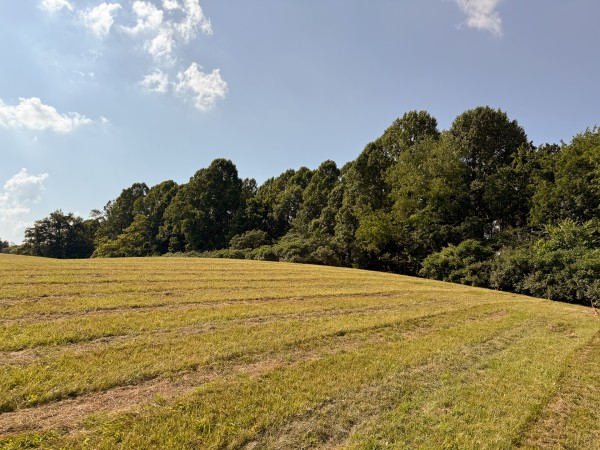 Tract 7 at Wolf Hill Estates property photo