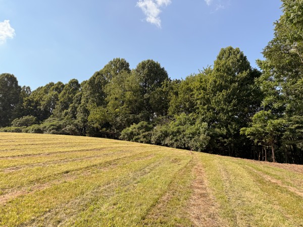 Tract 7 at Wolf Hill Estates property photo