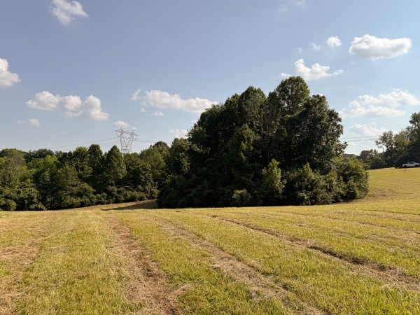 Tract 7 at Wolf Hill Estates property photo