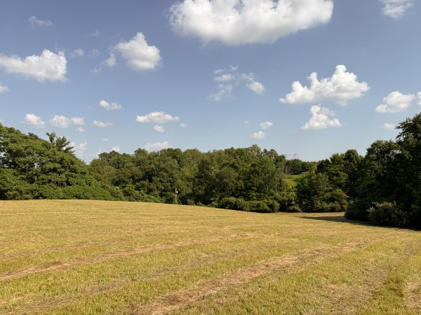 Tract 7 at Wolf Hill Estates property photo