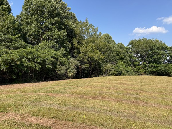 Tract 7 at Wolf Hill Estates property photo