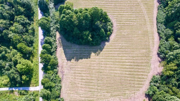 More of Tract 7 at Wolf Hill Estates