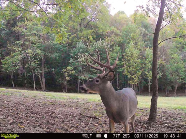 Tract 7 at Wolf Hill Estates property photo