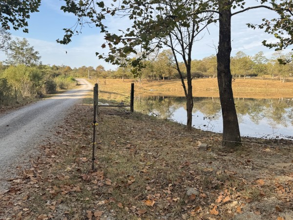 Clearview Pond property photo