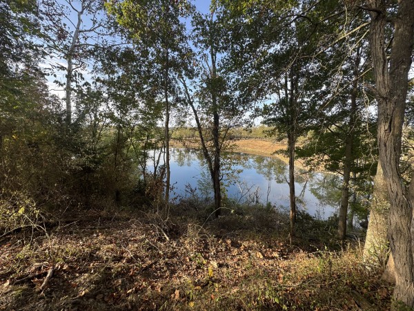 Clearview Pond property photo