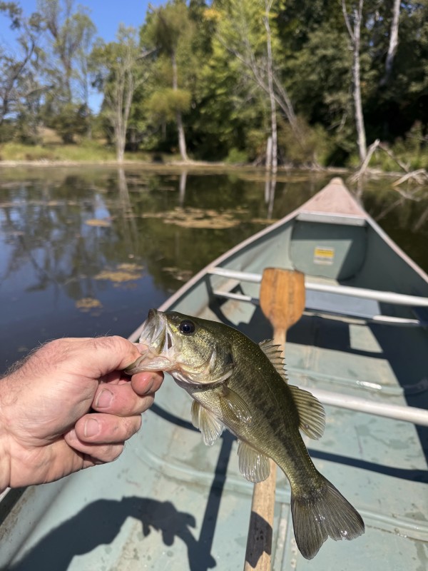 Clearview Pond property photo