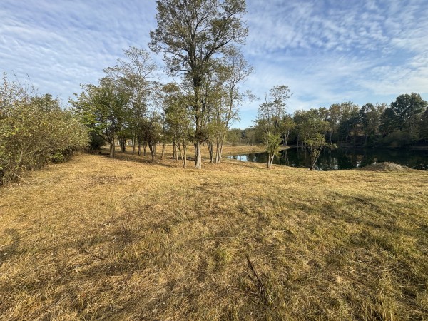 More of Clearview Pond