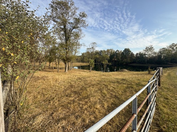 Clearview Pond property photo