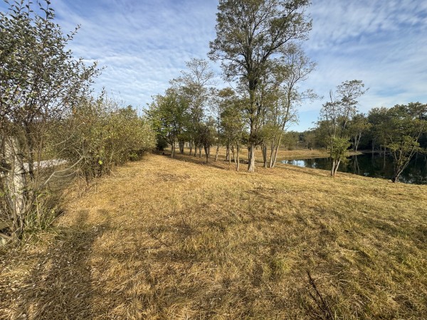 Clearview Pond property photo