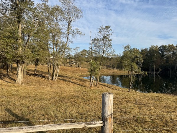 Clearview Pond property photo