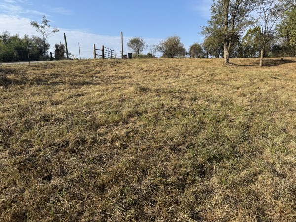 Clearview Pond property photo