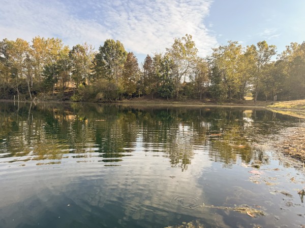 Clearview Pond property photo