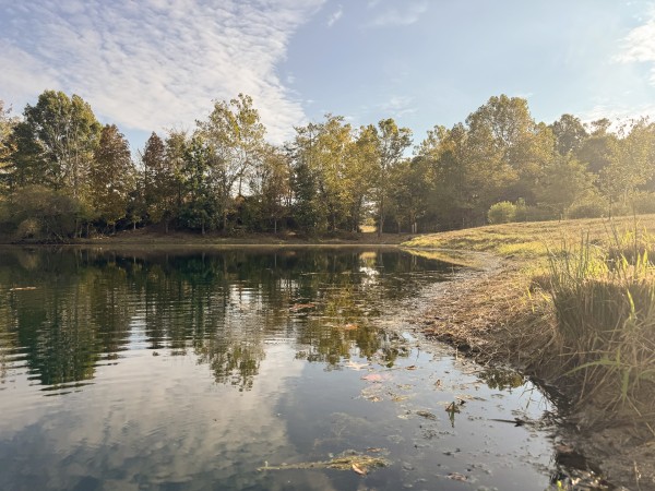 Clearview Pond property photo