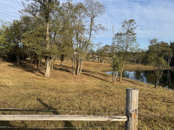 More of Clearview Pond