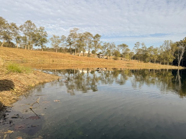 Clearview Pond property photo