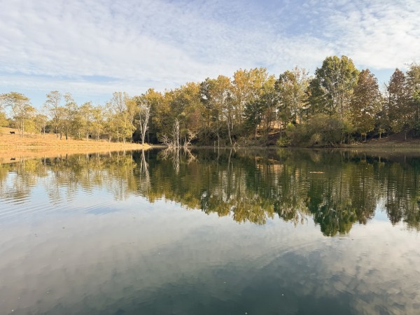 Clearview Pond property photo