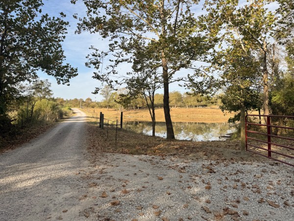Clearview Pond property photo