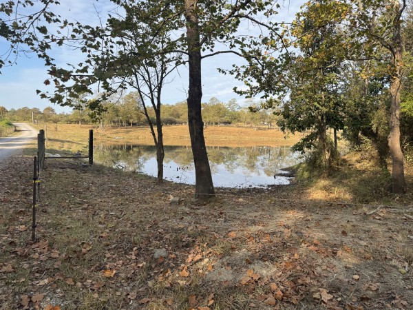 Clearview Pond property photo