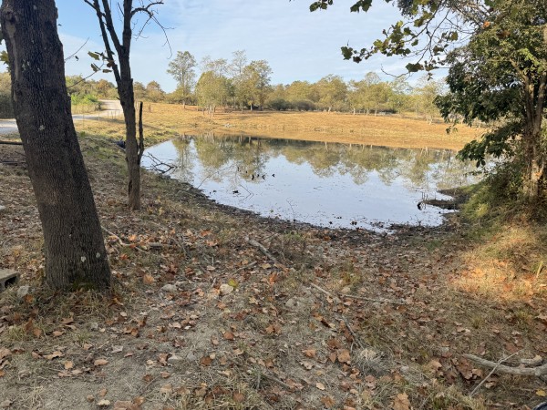 Clearview Pond property photo