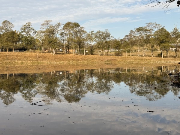 Clearview Pond property photo