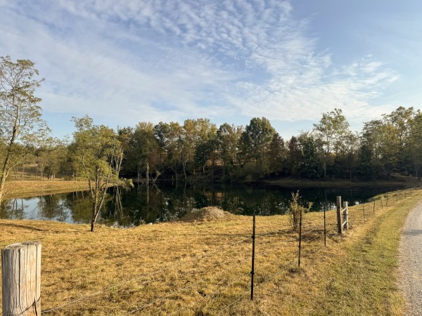 More of Clearview Pond