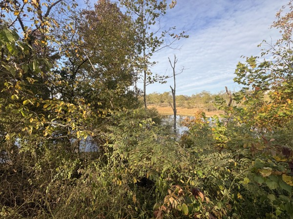 Clearview Pond property photo