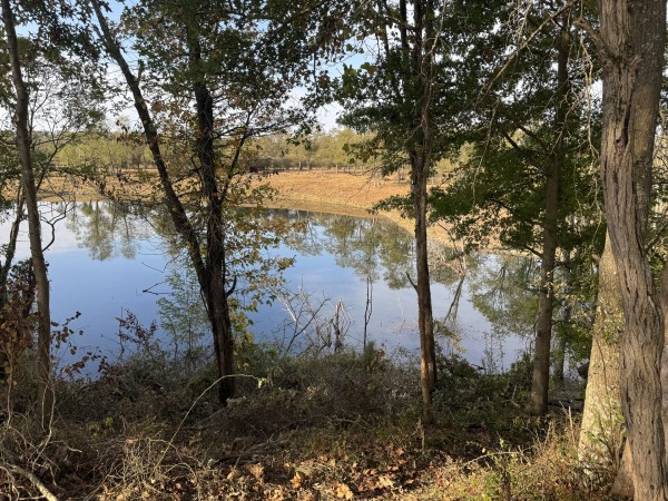 Clearview Pond property photo