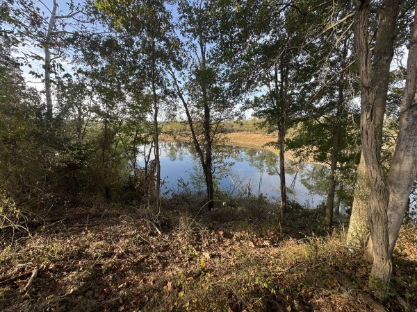 Clearview Pond property photo