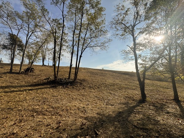 Clearview Pond property photo