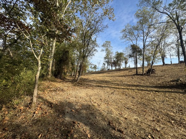 Clearview Pond property photo