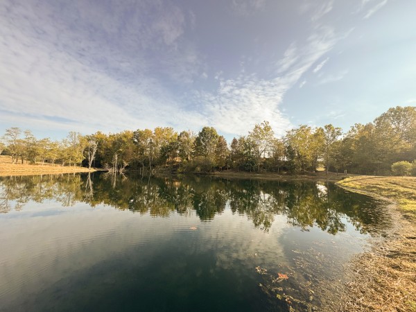 More of Clearview Pond