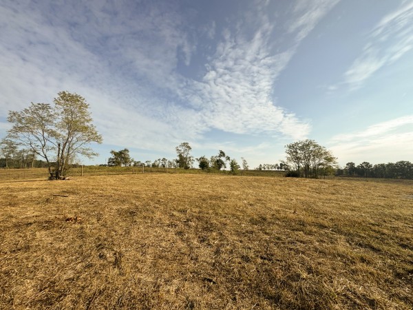 Clearview Pond property photo