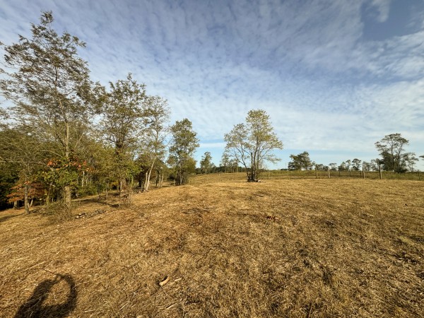 Clearview Pond property photo