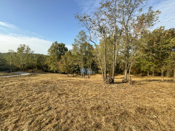 Clearview Pond property photo