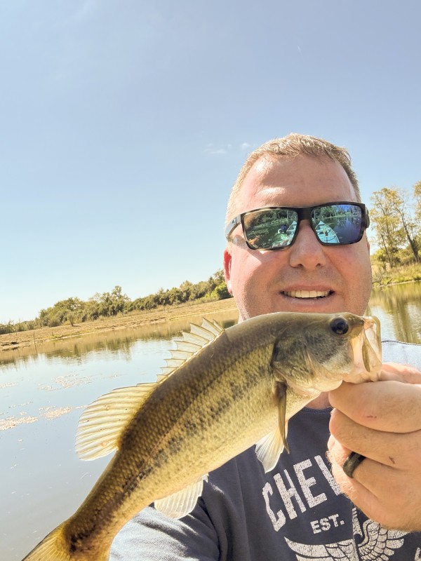 More of Clearview Pond