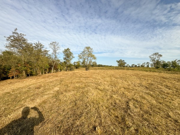 Clearview Pond property photo